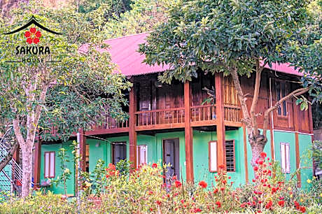 SAKURA House Hoa Ban