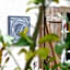 La Ferme D'Augustin