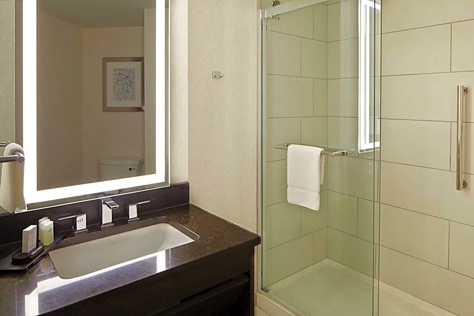 Embassy Suites By Hilton Hotel Atlanta-Galleria