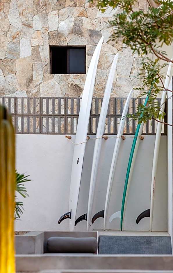 Drift San Jose del Cabo