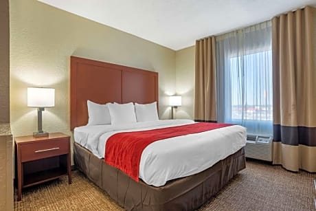1 King Bed, Suite, Nonsmoking