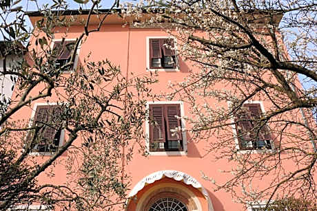 Angelini dal 1911