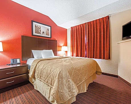 1 Queen Bed, Suite, Nonsmoking