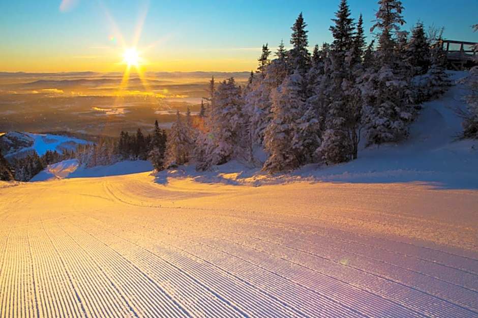 Magog Waterfront Studio 106