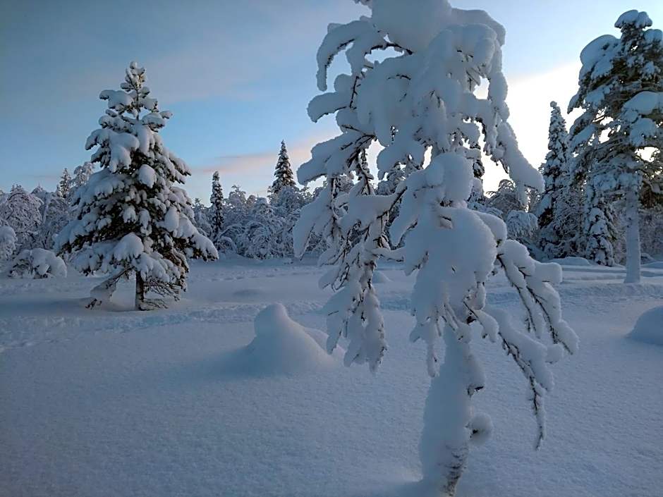 Holmens Boende och Event