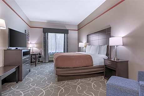 King Room - Non-Smoking