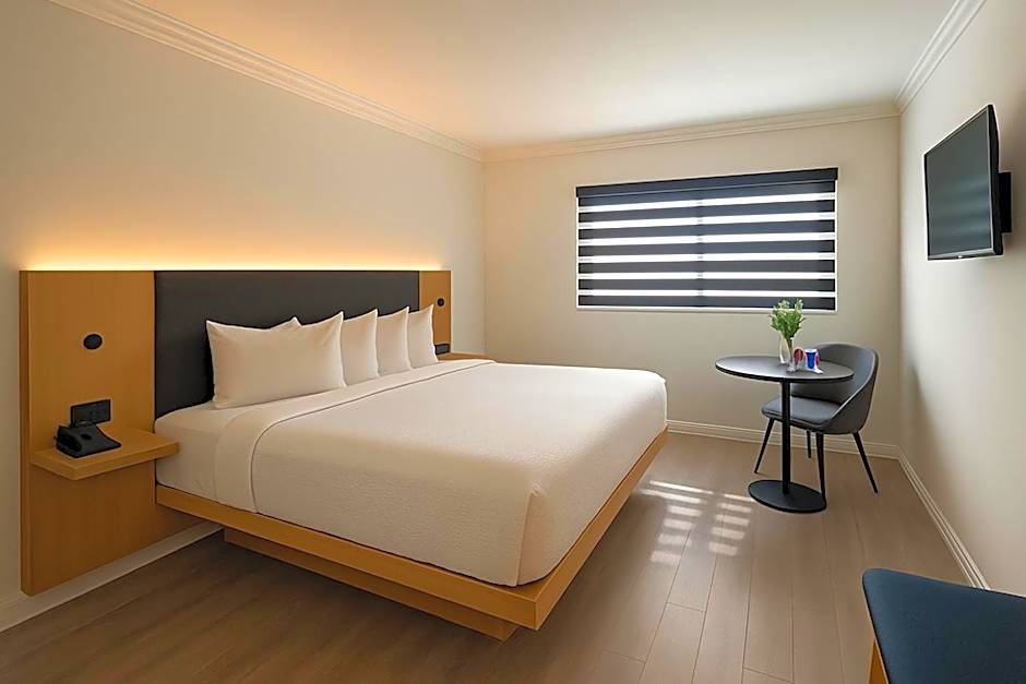 The Live Hotel