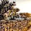 Masseria D'Erchia