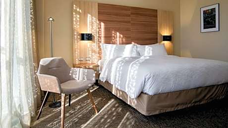 Mercure Concepcion