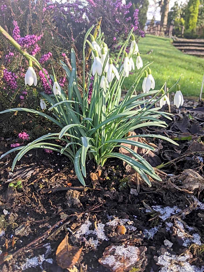 Glazert Country House Hotel