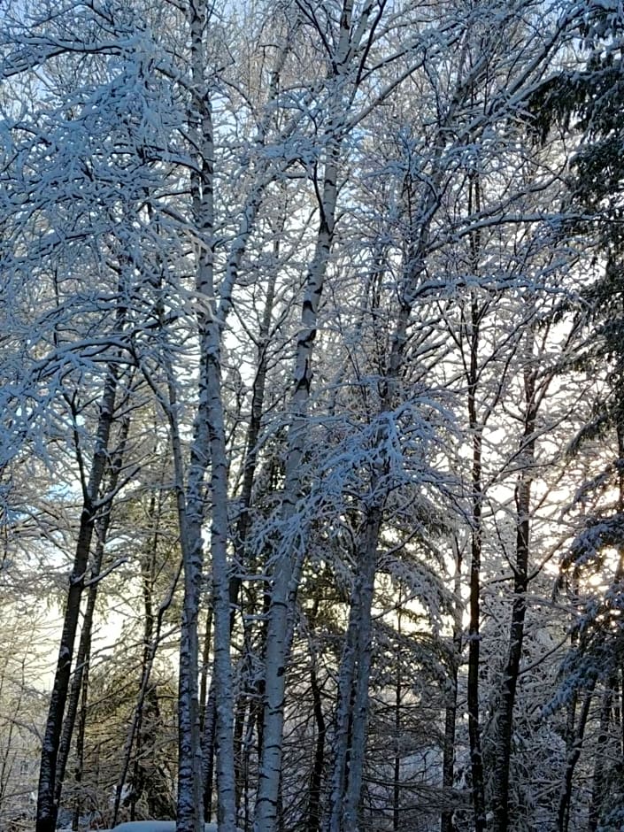 Suite in the Bush-Private Apartment