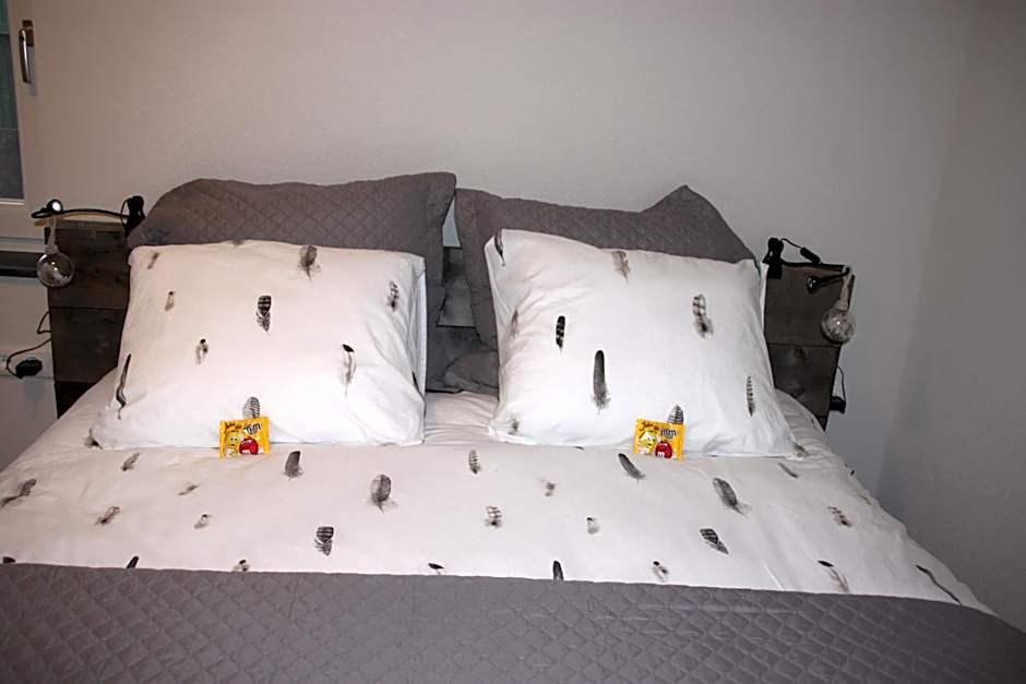 Bed and Breakfast De Volkelse Hooiberg