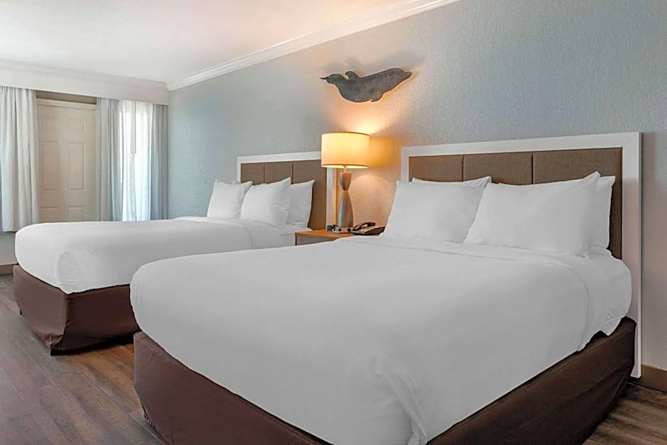 Winter the Dolphin's Beach Club, Ascend Hotel Collection