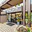 The Lofts Apartments