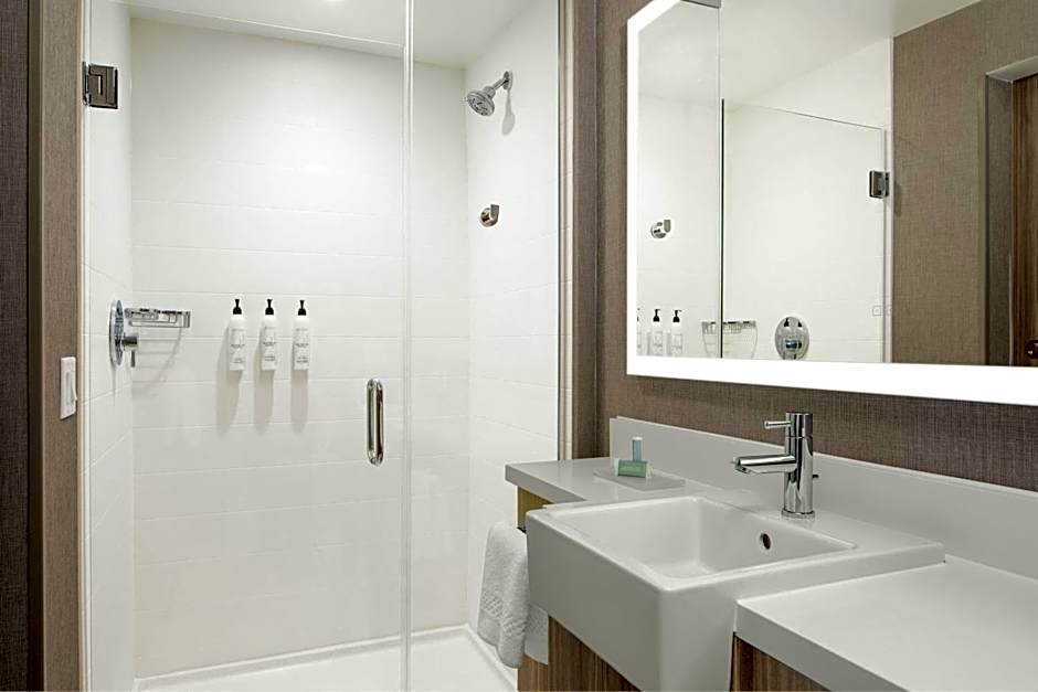 SpringHill Suites by Marriott Roanoke North