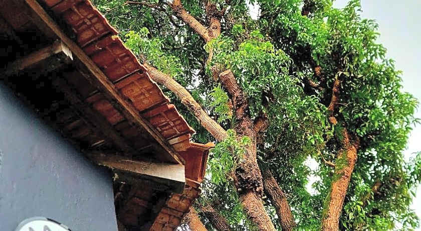 THE OLD QUARTER HOSTEL