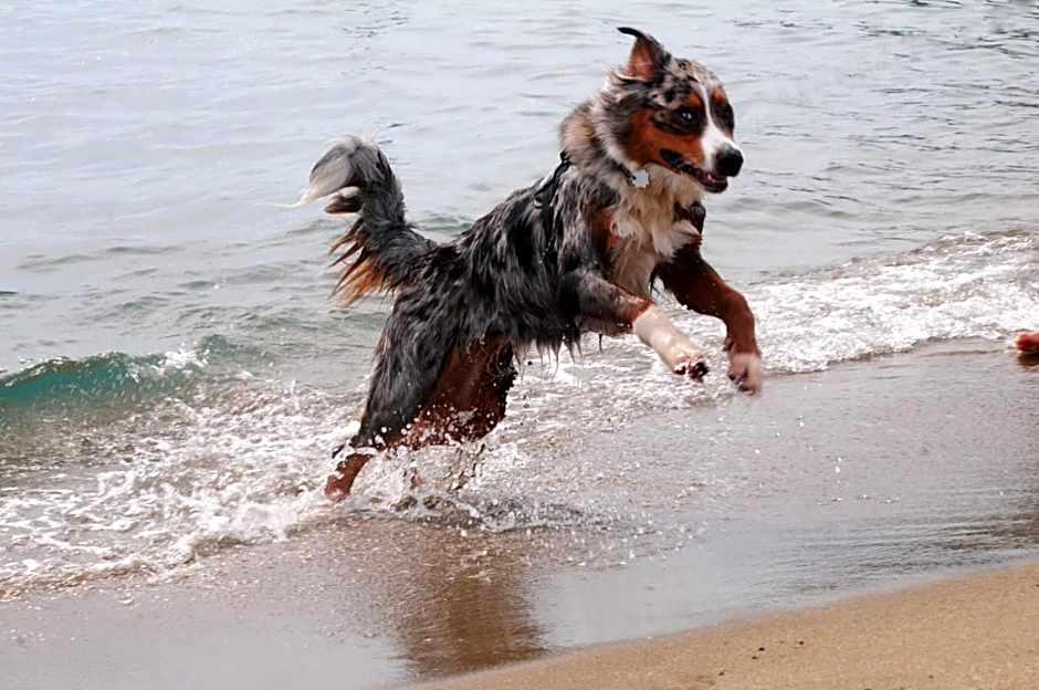 Villaggio Camping Torre Salinas