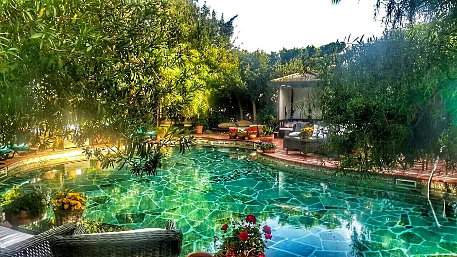 El Vino Hotel Suites