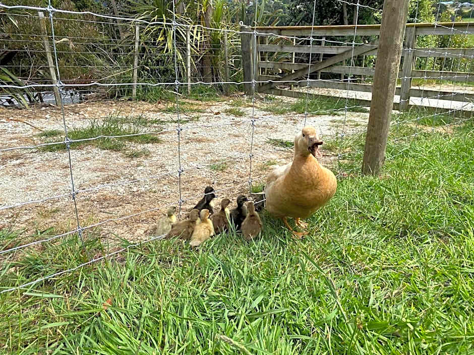 Pukeatua Farmstay