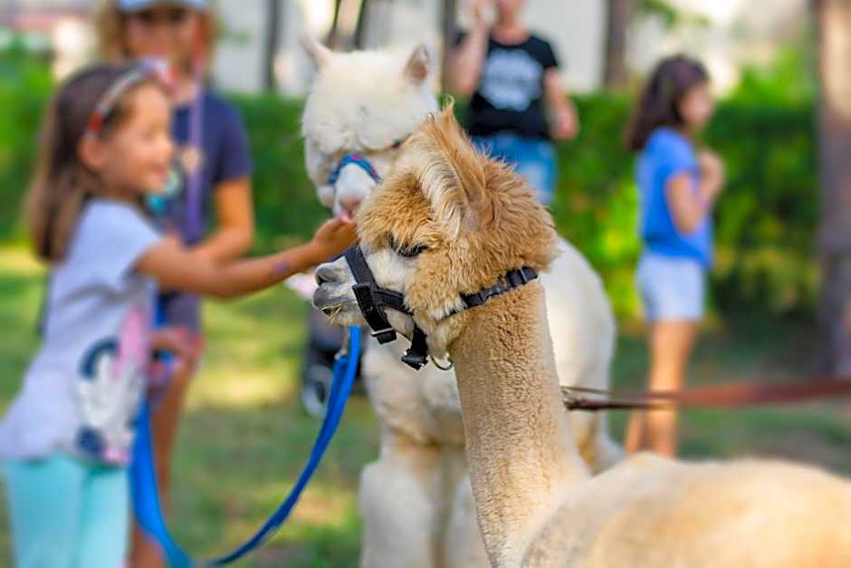 Park Rekreacyjno-Biznesowy Las Woda