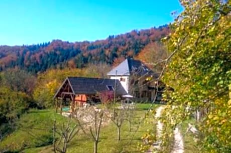 Maison atypique en Chartreuse