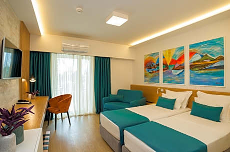 Superior Double or Twin Room