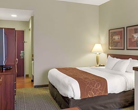 1 King Bed, Nonsmoking