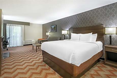 King Suite with Whirlpool and Fireplace - Non-Smoking