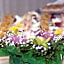 Bellevue del Golfo Hotel & Spa