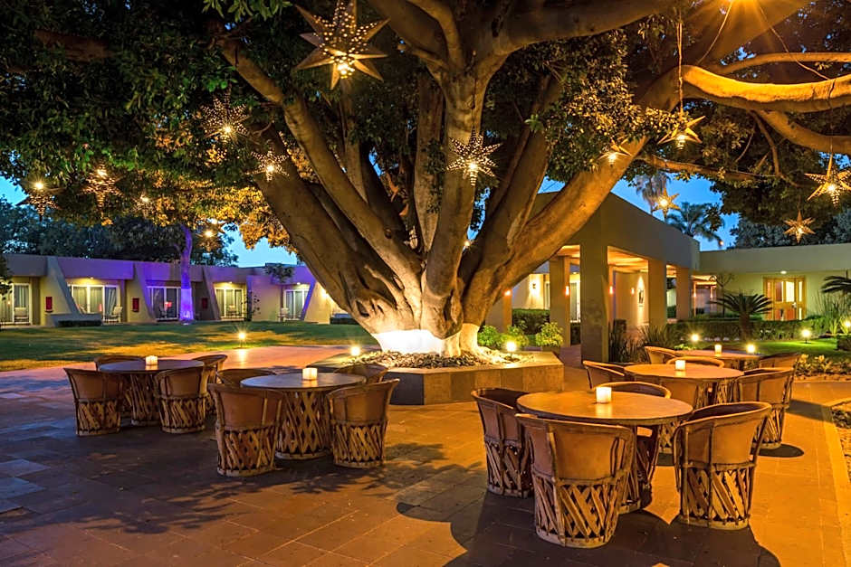 Camino Real Guadalajara