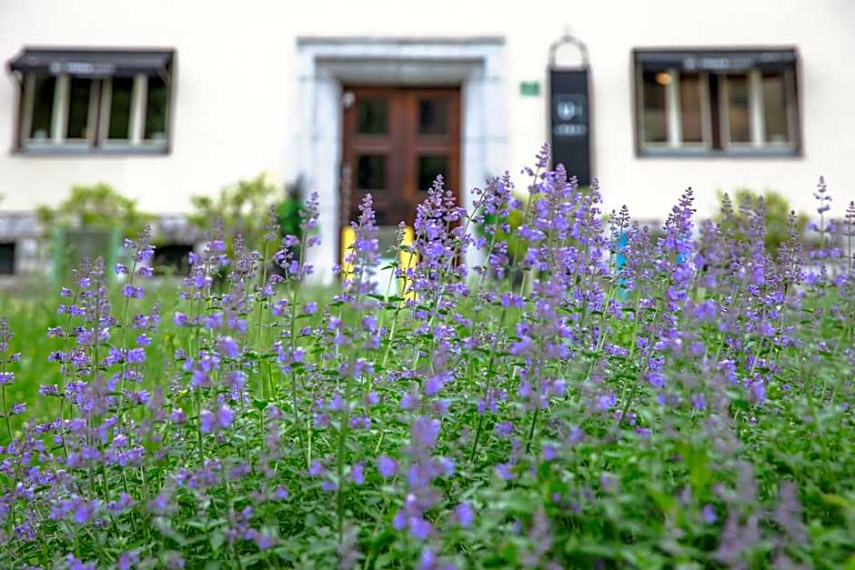 Urban Boutique Hotel Center