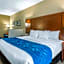 Comfort Suites Cedar Falls