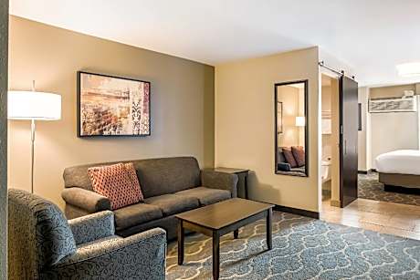 1 King Bed, Suite, Nonsmoking