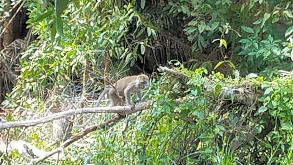 The Beachaven Chalets, Kota Belud