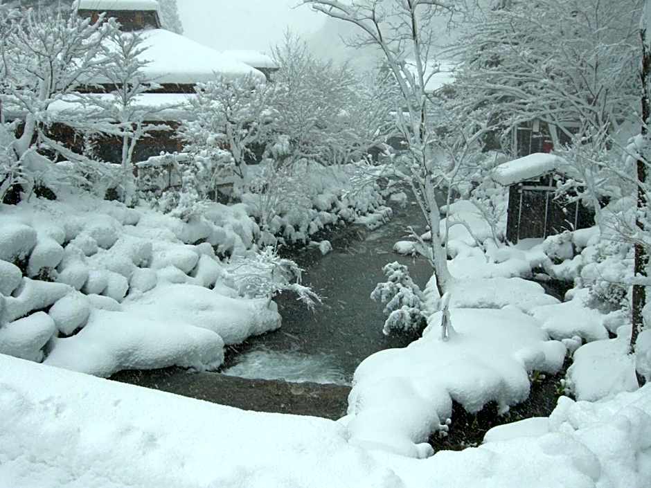 Houshi Onsen Chojukan
