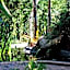 Summerview Guest Lodge