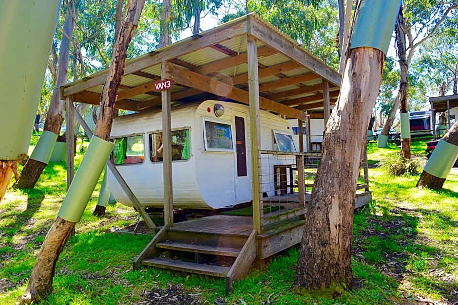 Bimbi Park - Camping Under Koalas