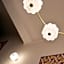 Hotel Louvia