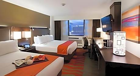 1 Bedroom Suite