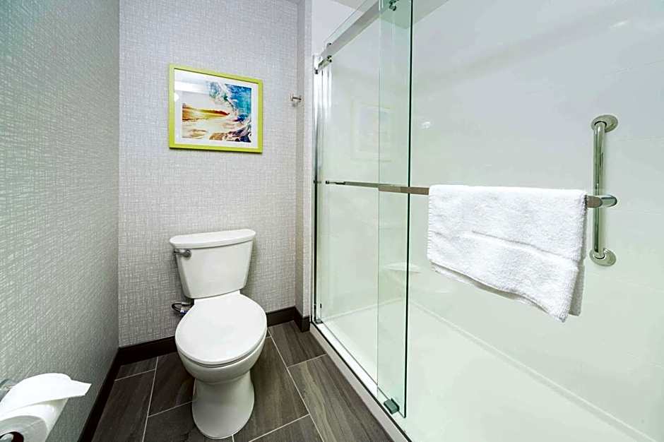 Hampton Inn By Hilton & Suites Santa Maria