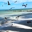 Hotel and Beach Club Escape Holbox