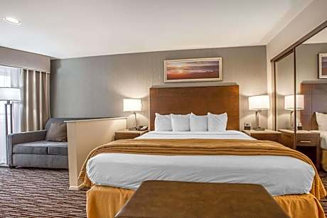 King Room - Disability Access/Non-Smoking