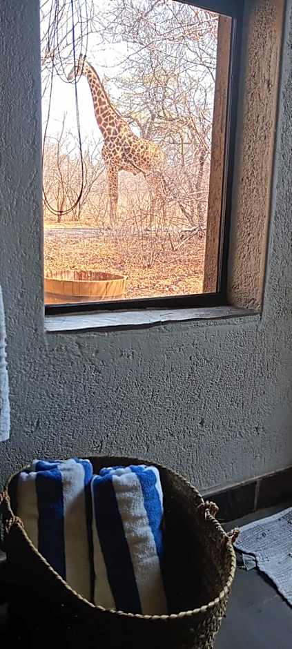 Call of the Wild Lodge