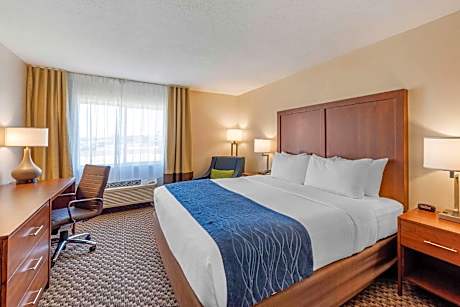 1 King Bed, Nonsmoking, Accessible
