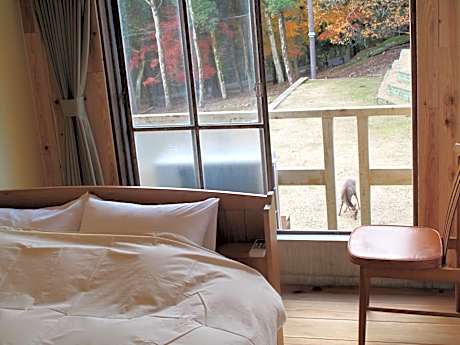 Double Room with Shared Bathroom - Non-Smoking