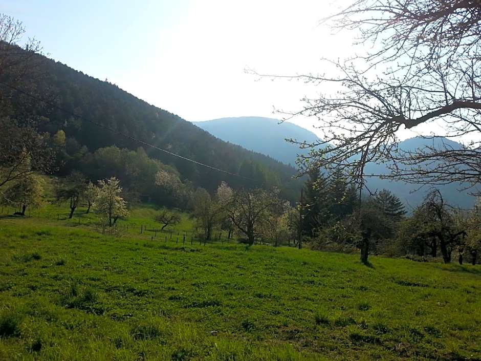 Auberge Saint Martin