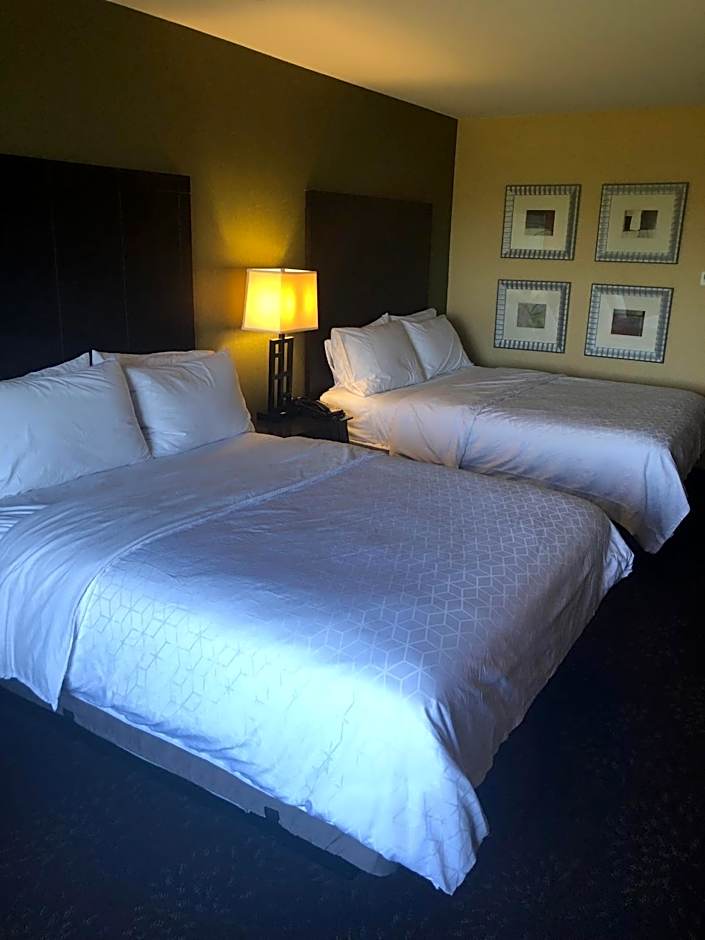 Holiday Inn Express Hotel & Suites Lansing-Dimondale By IHG