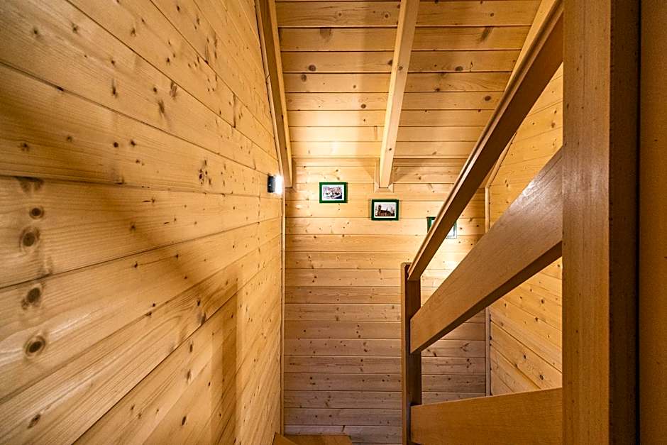 Eko domki MaMastra Szaflary