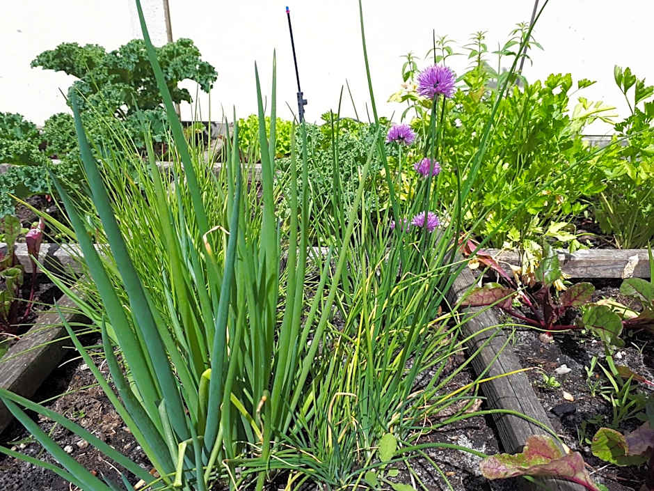 Les chambres d'hôtes de Pascale