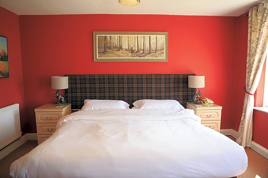 Photo 1 of 2 of Deluxe 1 King Bed